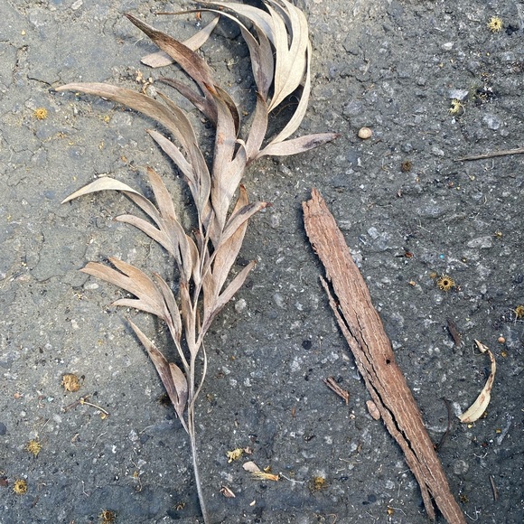 Meet your Posher, Eve - Picture 15 of 16